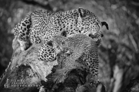 _D3S0549-Edit