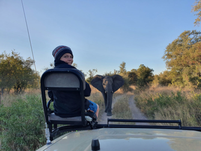 Ettas and a curious young elephant