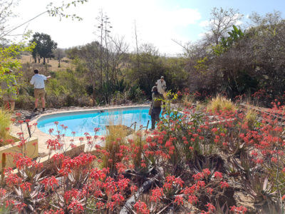 Original camp swimming pool deck being broken down