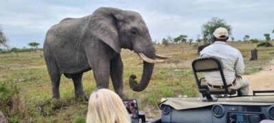Marcel Elfferich, Krabbendijke, Netherlands at Elephant Plains Game Lodge