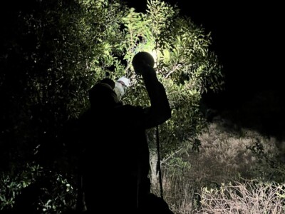 Marvin & Mona Sowers at Elephant Plains