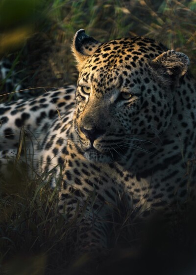 Benine and Michael du Toit, KZN South Africa
