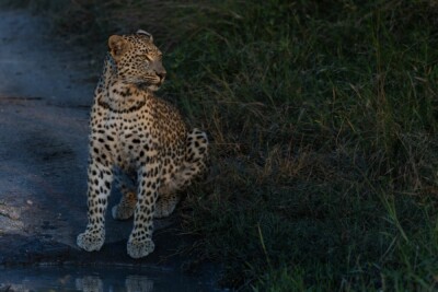 Benine and Michael du Toit, KZN South Africa