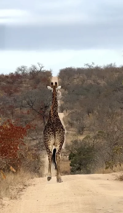 Kim Rae, Canada at Elephant Plains Game Lodge