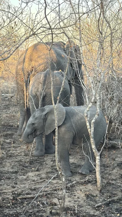 Kim Rae, Canada at Elephant Plains Game Lodge